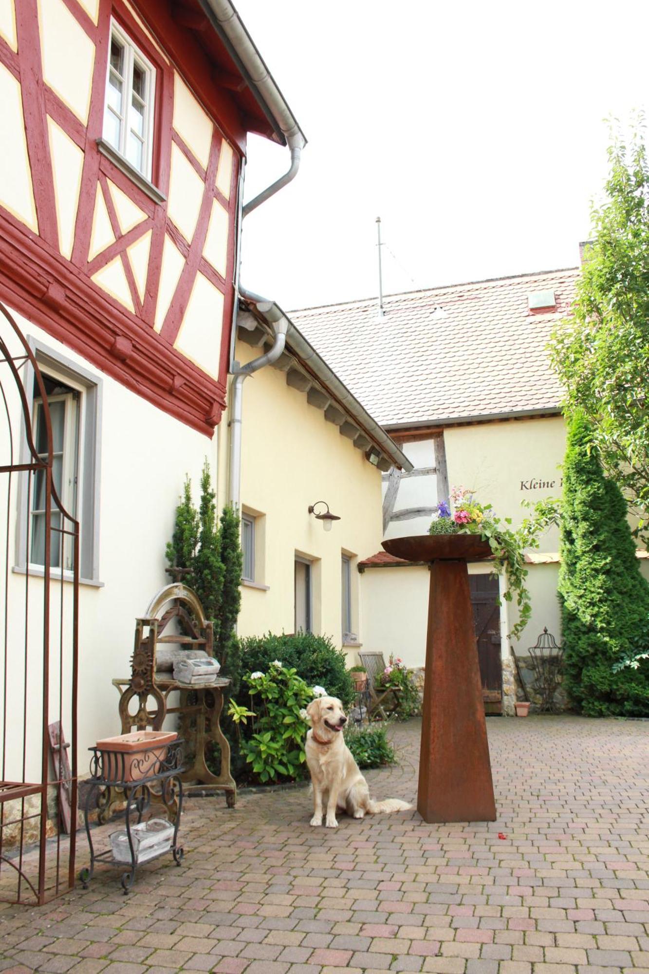 Kleine Residenz Am Schloss Хоххайм ам Майн Екстериор снимка